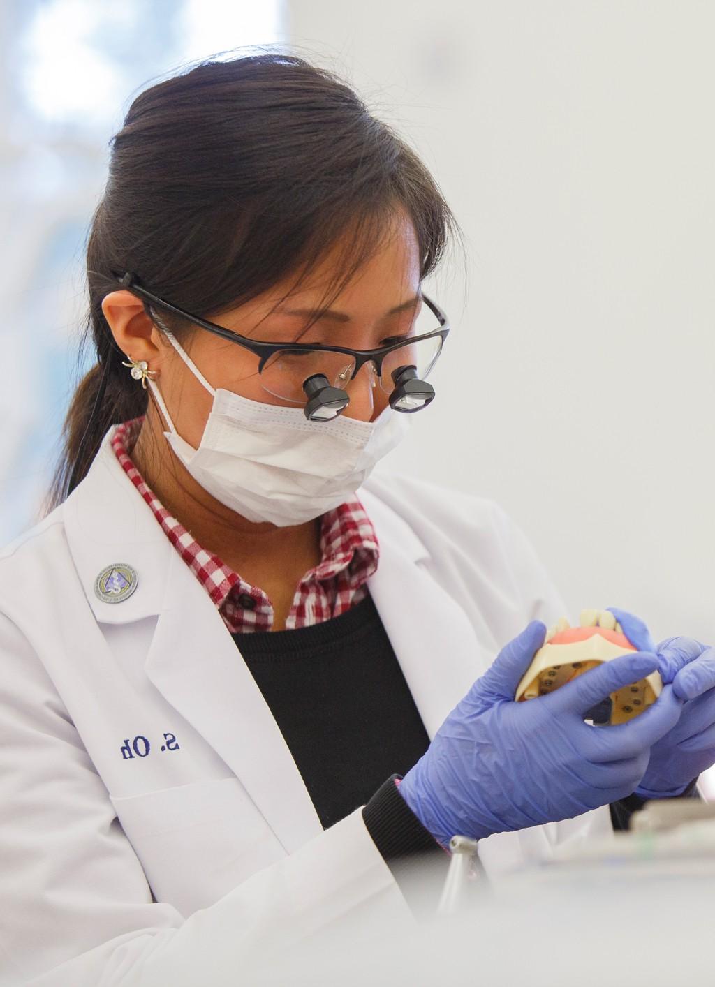 A student wearing a white coat, gloves, mask, and loupes inspects a model of teeth